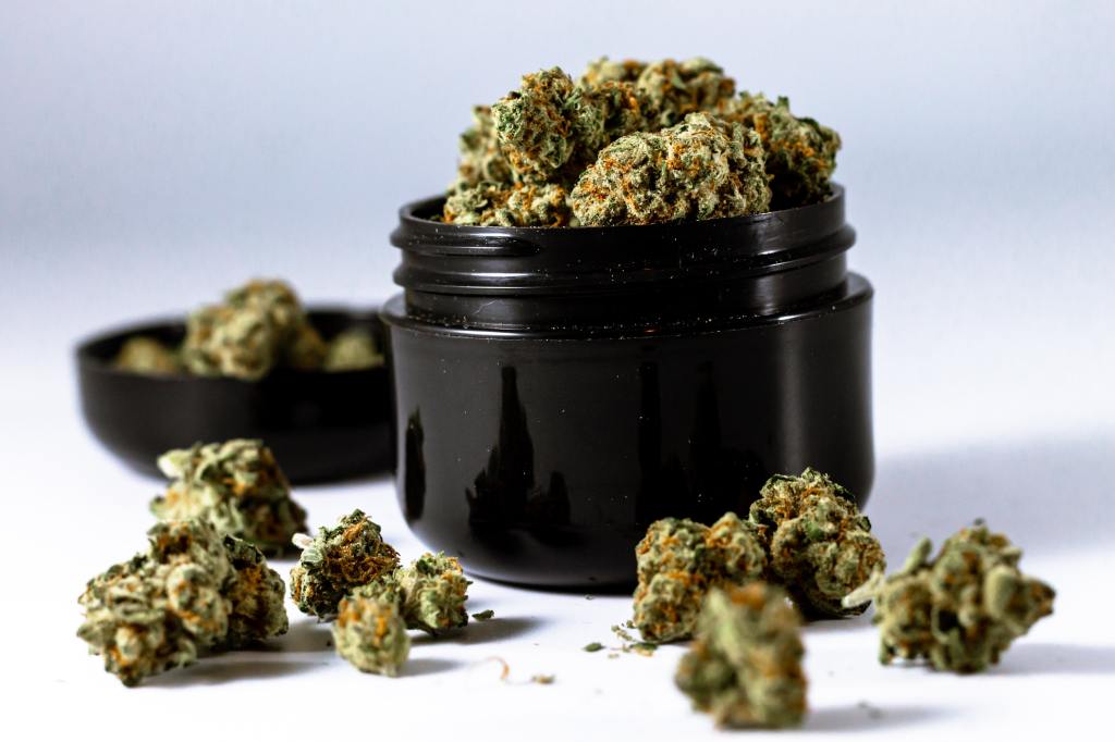 Understanding the Different Strains of Cannabis and Their&nbsp;Uses