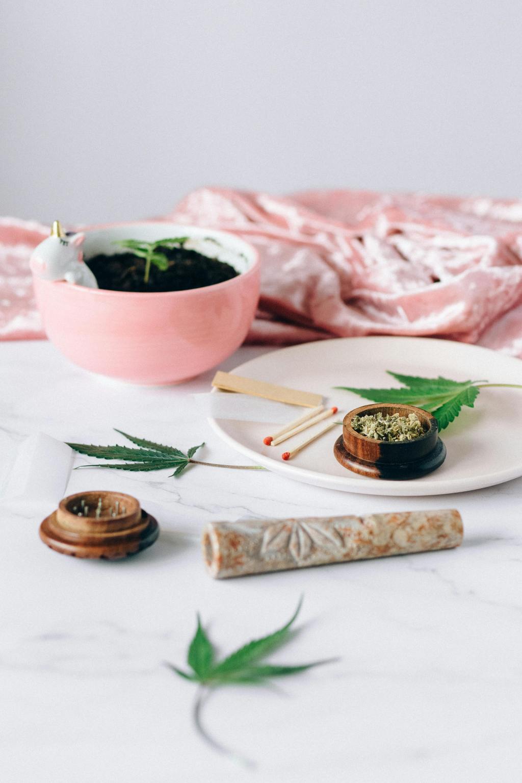 Elevate Your Cannabis Experience: 5 Must-Have&nbsp;Accessories